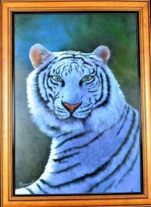 Human Eyes in Tiger by Jim Warren