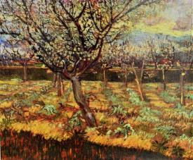 Apricot Trees In Blossom 2 by Vincent Van Gogh