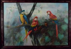 Parrots by Harry Aiken Vincent