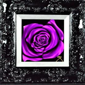 Mini Purple Rose by Cris X
